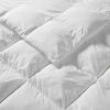 Overfilled Down Alternative Comforter Full/Queen