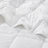 Goose Feather and Down Filling All Seasons Blanket, Full/Queen