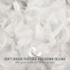 Goose Feather and Down Filling All Seasons Blanket, Full/Queen